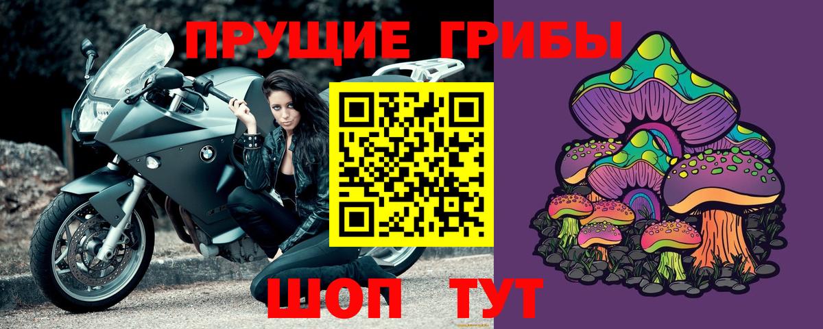 Псилоцибиновые грибы мицелий Камышин